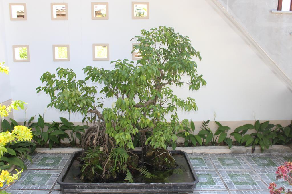 Hoian Joy Homestay هوي ان المظهر الخارجي الصورة