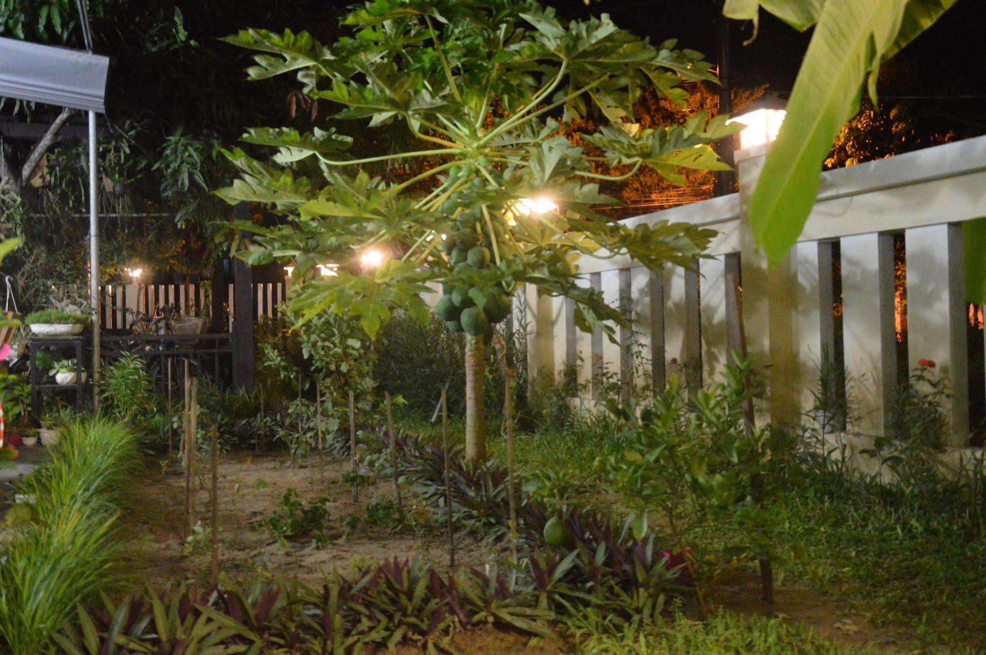 Hoian Joy Homestay هوي ان المظهر الخارجي الصورة